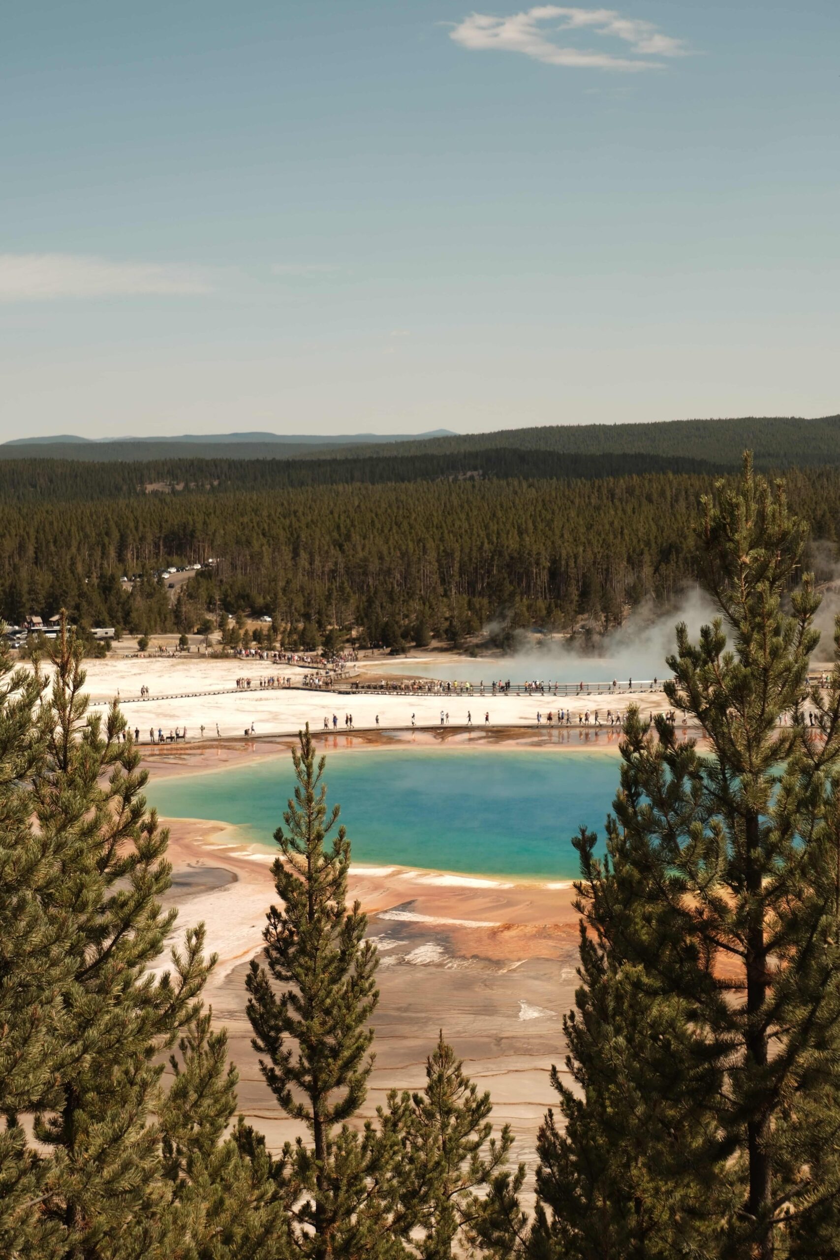 a-girls-passport-travel-blog-unites-states-wyoming-yellowstone-grand-prismatic-trees-viewpoint-3