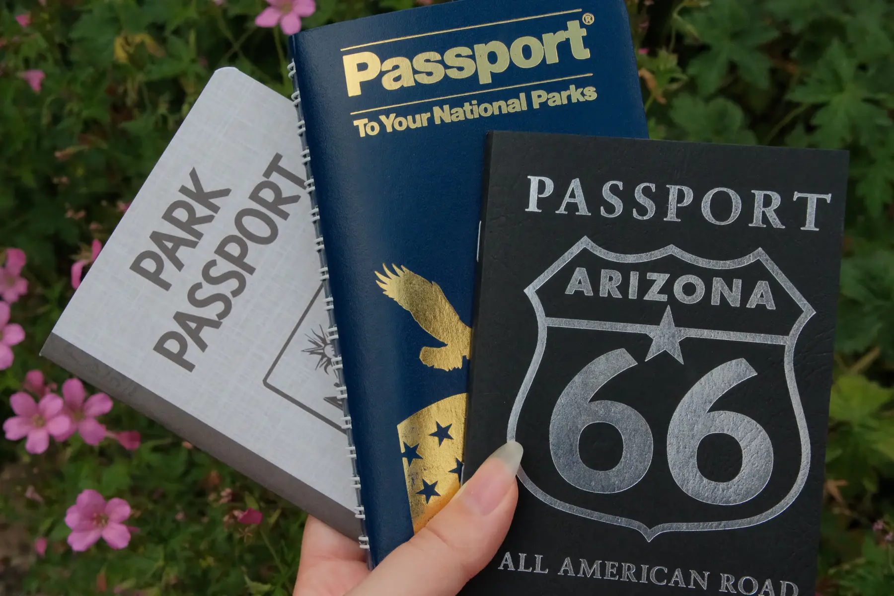 USA National Park Passport Stamps: how to collect them at every park